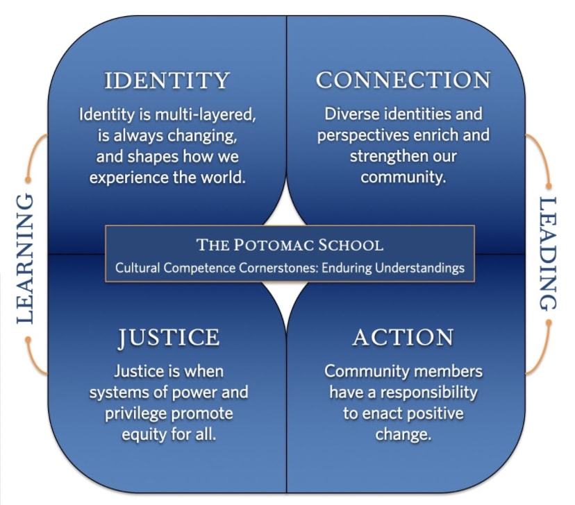 cultural competence curriculum pillars