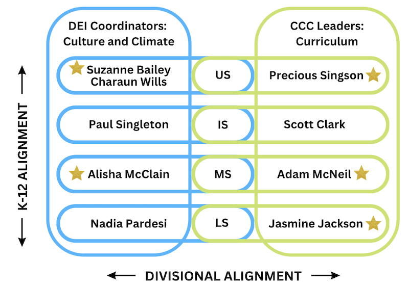 DEI divisional leaders
